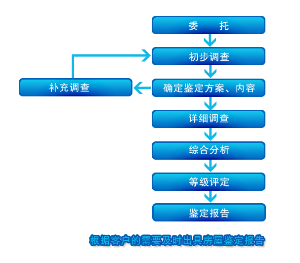 鑒定標(biāo)準(zhǔn)(圖1) 鑒定標(biāo)準(zhǔn)(圖1)